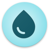 LadyLog logo