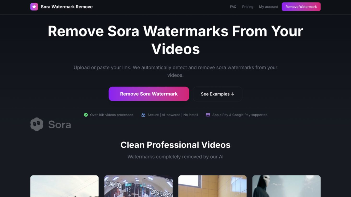Sora watermark remove tool product screenshot