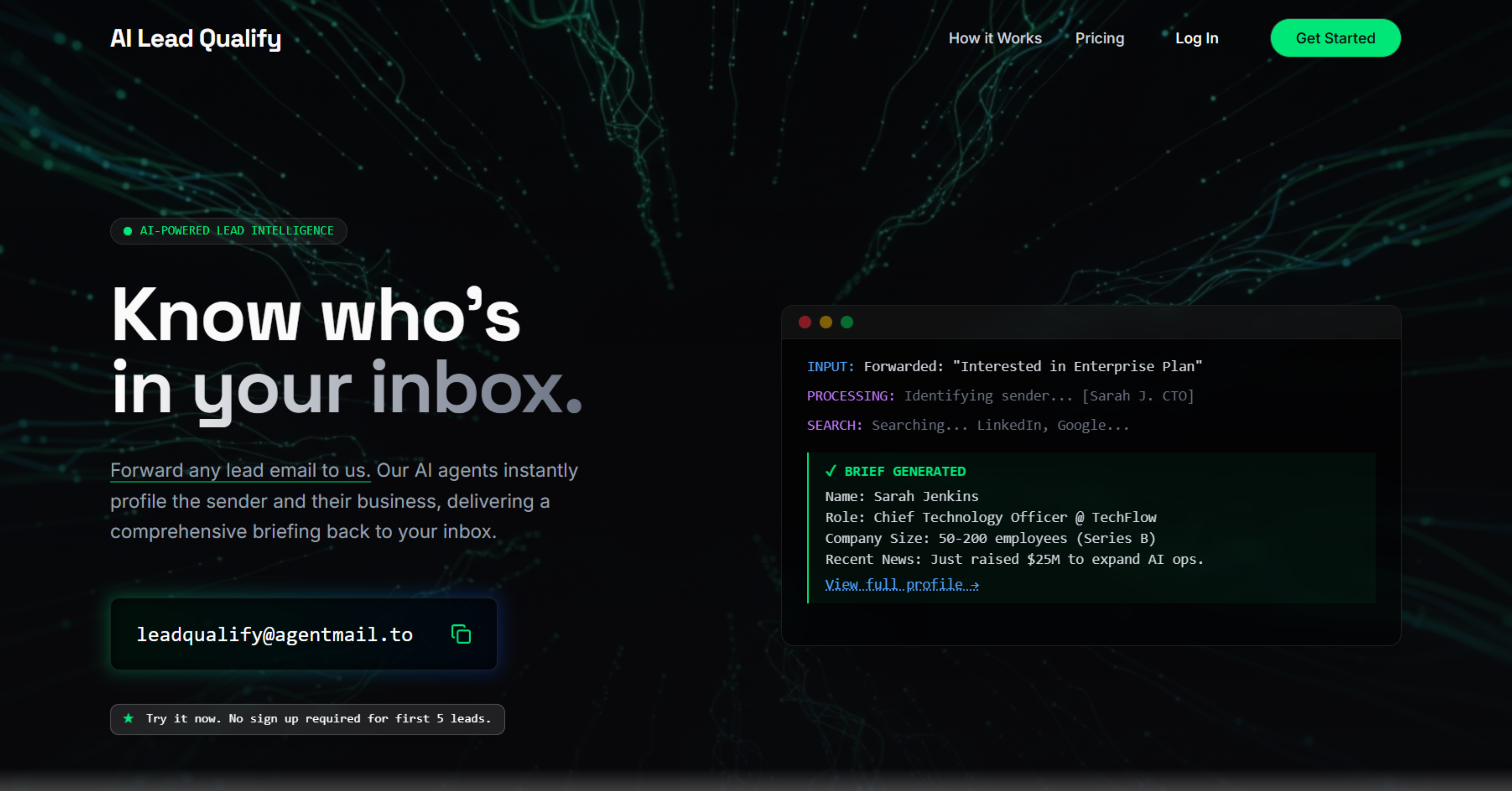 AI Lead Qualify screenshot