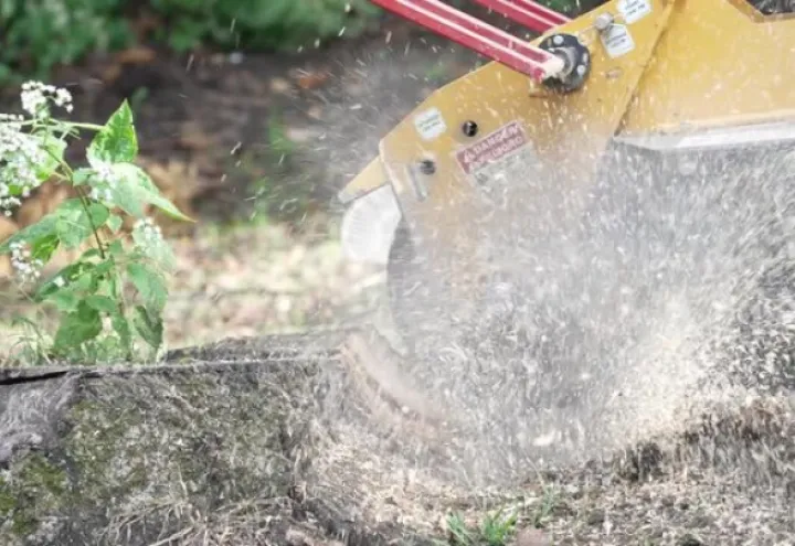 Same Day Stump Removal screenshot 1