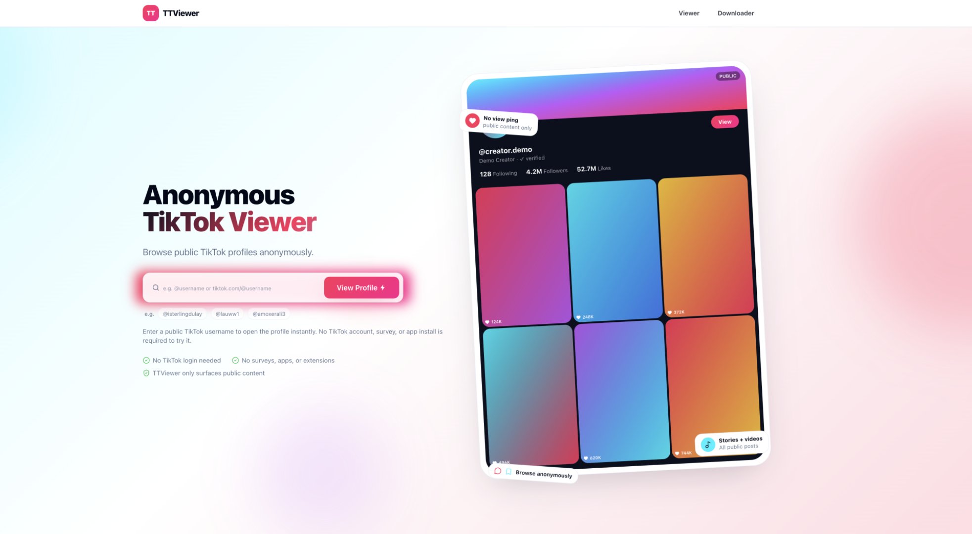 TTAnonViewer product screenshot