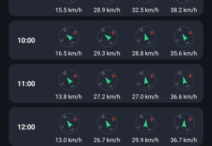 Drone Forecast screenshot 2